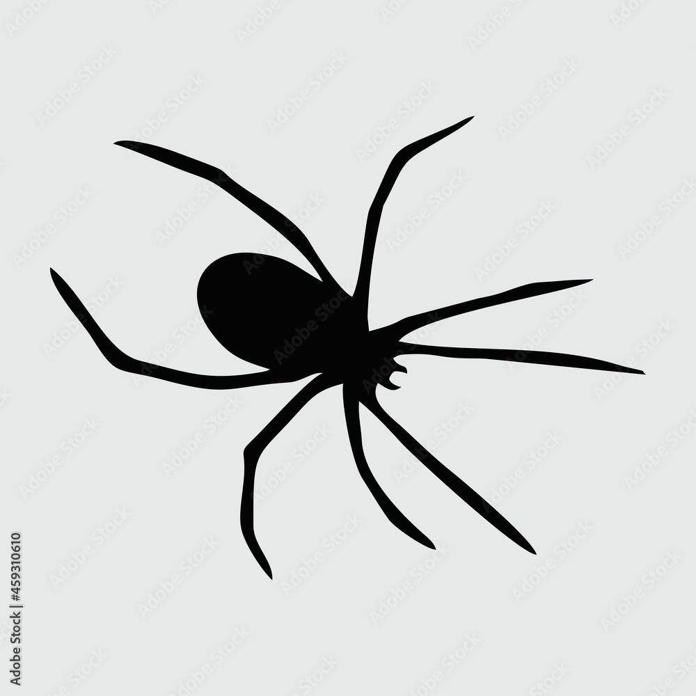 Spider Silhouette, Spider Isolated On White Background Spider Silhouette, Spider Isolated On White Background