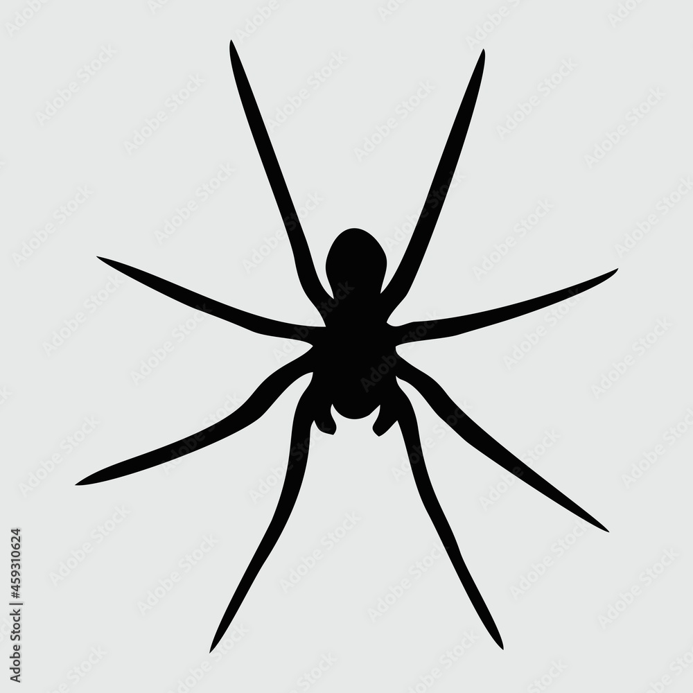 Spider Silhouette, Spider Isolated On White Background Spider Silhouette, Spider Isolated On White Background