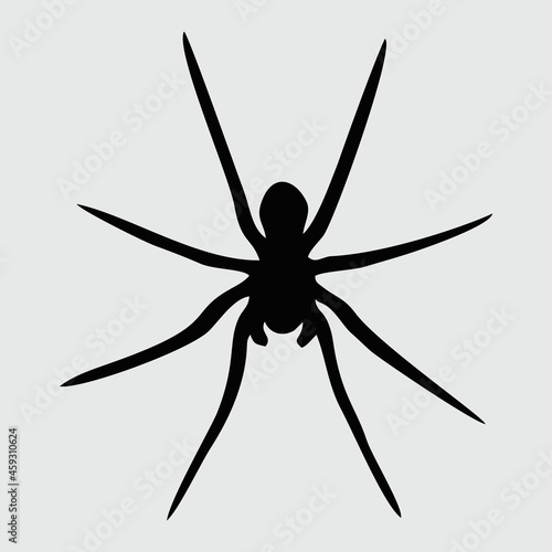 Spider Silhouette, Spider Isolated On White Background