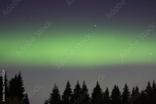 Auroras boreales en Tiller, Trondheim ( Norway). Tomada desde el bosque de Tiller en Septiembre 2021 © Mara