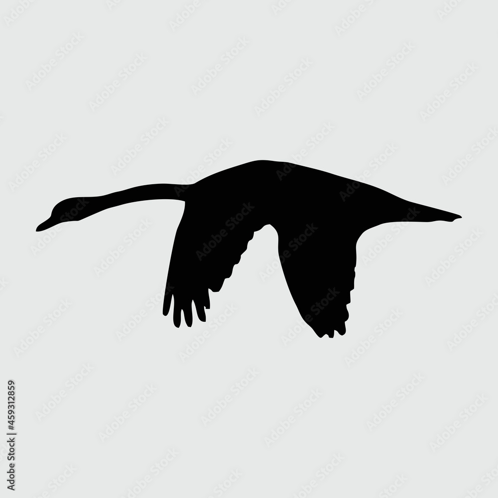 Fototapeta premium Swan Silhouette, Swan Isolated On White Background