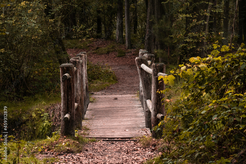 Wooden bridge in the middle of the forest during Autumn. Country landscape in fall season colors.