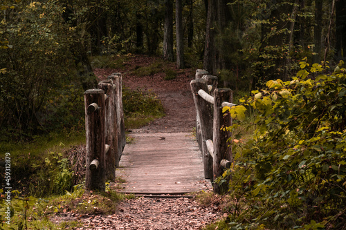 Obraz na płótnie Wooden bridge in the middle of the forest during Autumn. Country landscape in fall season colors. w salonie