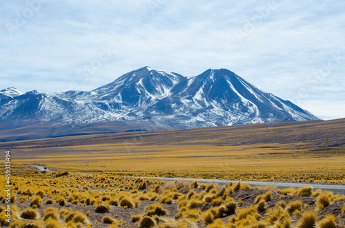 Chile Landscape