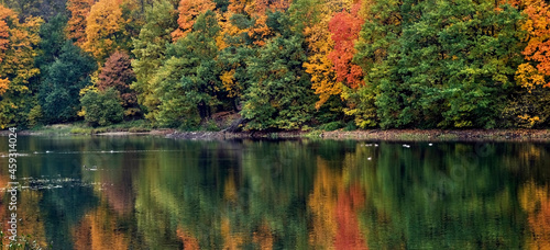 Fototapeta Naklejka Na Ścianę i Meble -  Scenic autumn landscape with colorful trees by the lake and ducks
