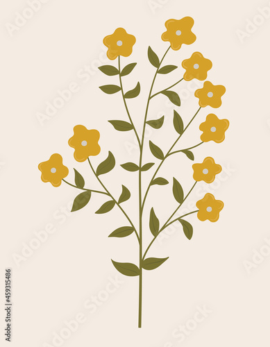 Vintage illustration of yellow wild flower. Medicinal herb. Branch with leaves. Botanic vector of forest flora. Hand drawn colorful floral element. Clipart for design and print
