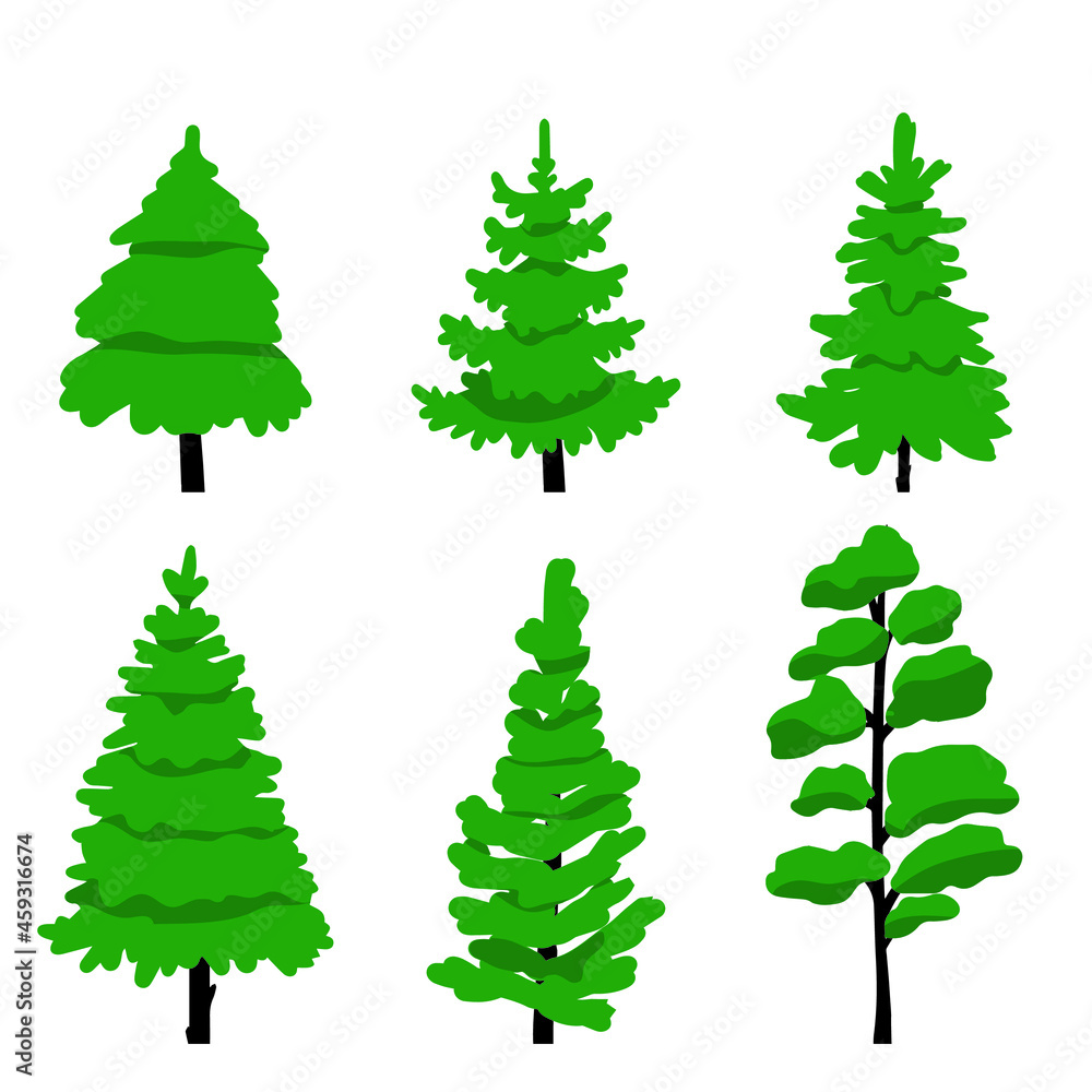 Fototapeta premium Vector illustration. Set of 6 conifers