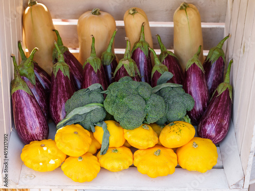 Pumpkin and other farm vegetables in market background photo