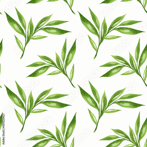Floral background with green leaves watercolour in hand drawn style. Green leaves seamless pattern on white. Foliage background for paper, textile, wrapping and wallpaper.