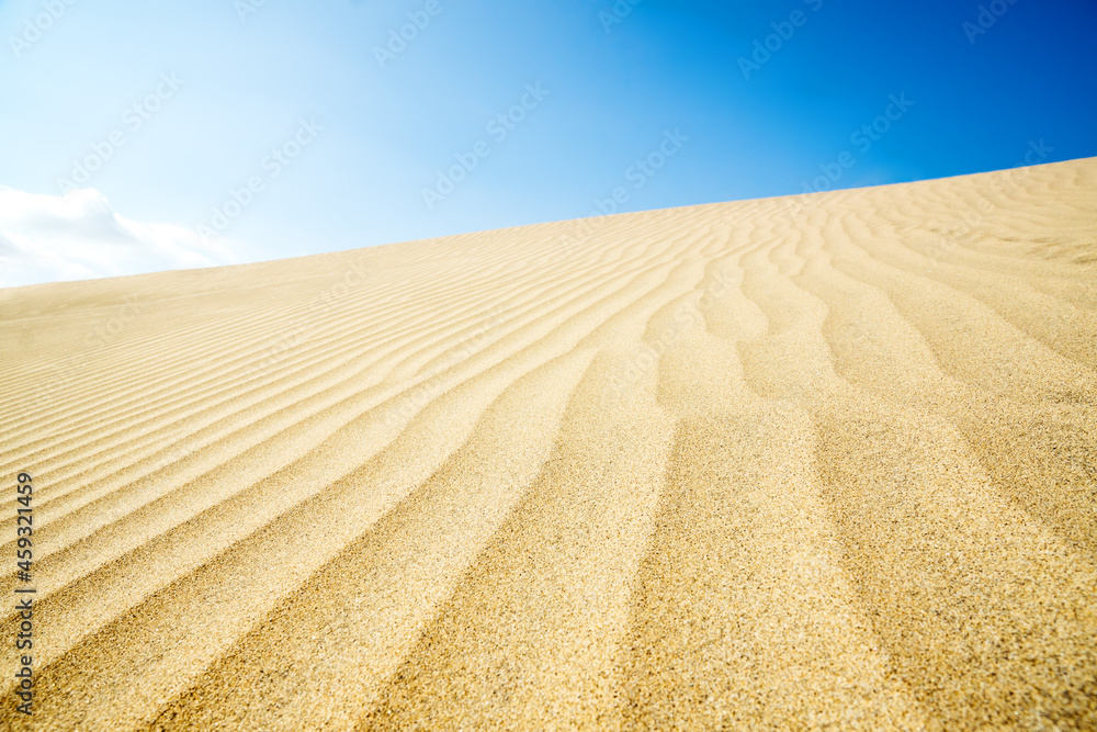Naklejka premium Blue sky and sand dunes. Sunny day.