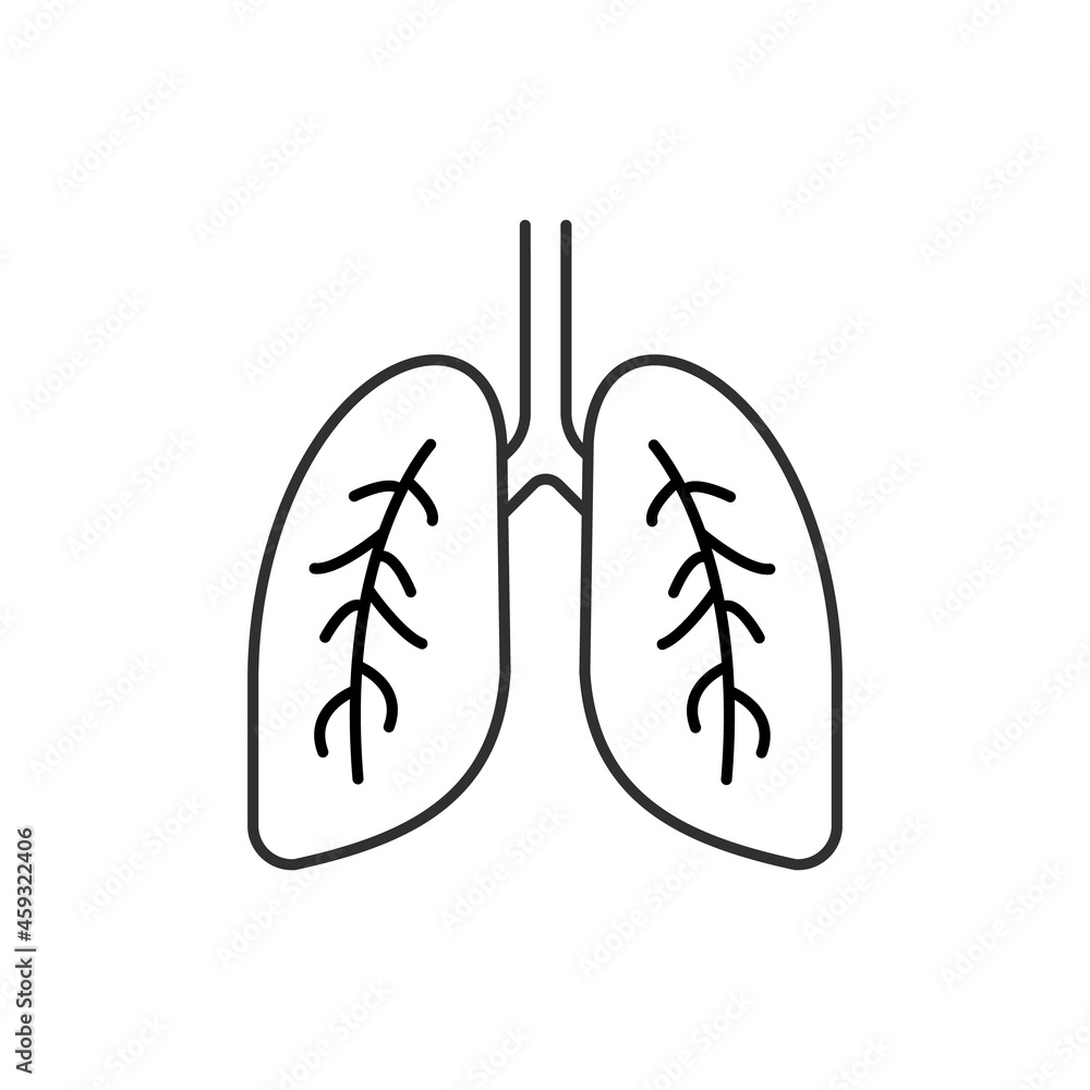 Lungs icon.Vector illustration isolated on white background. Lungs icon.Vector illustration isolated on white background.