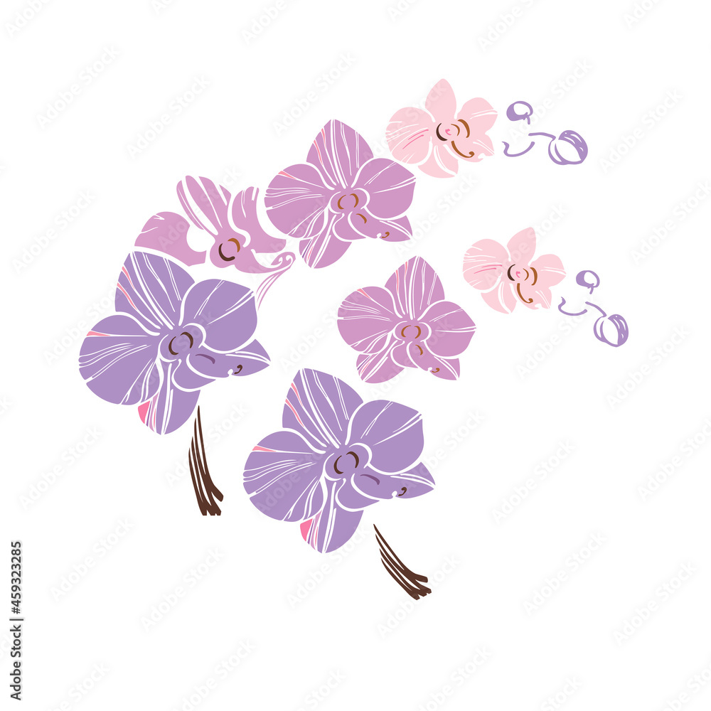 isolated element two branches orchid flowers purple pink lilac hand sketch logo silhouette vector isolated element two branches orchid flowers purple pink lilac hand sketch logo silhouette vector