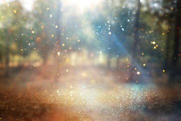 blurred abstract photo of light burst among lonely tree and glitter golden bokeh lights