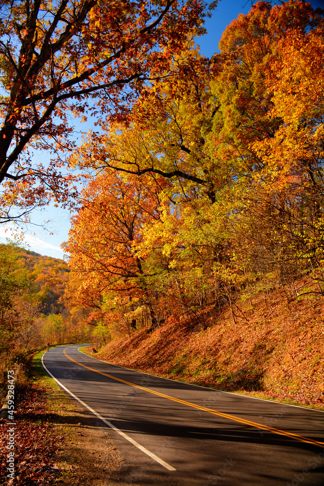 Naklejka premium Autumn in the Shenandoah National Park