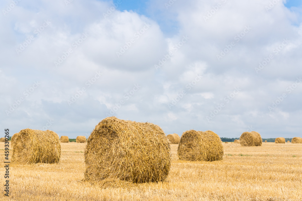 Stack of straw on the field.