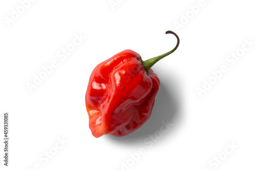 red hot chili pepper on top angle beautiful White and grey background