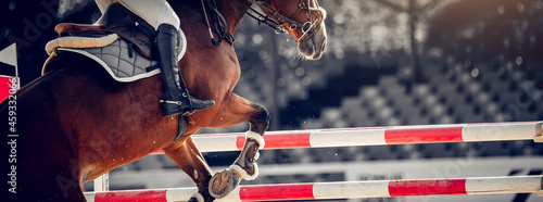 The shod hooves of a horse over an obstacle. The horse overcomes an obstacle. Equestrian sport, jumping. Overcome obstacles.