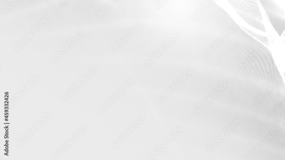 Obraz premium Dot white gray wave light technology texture background. Abstract big data digital concept. 3d rendering.