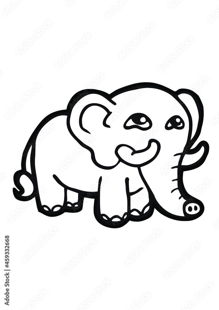 bébé éléphant trop mignon bébé éléphant trop mignon