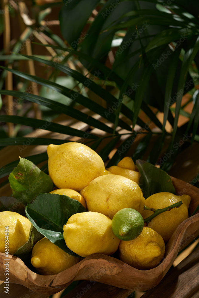 lemons with leaves lie on a wooden table on a bright sunny day. Hard shadows. plants nearby