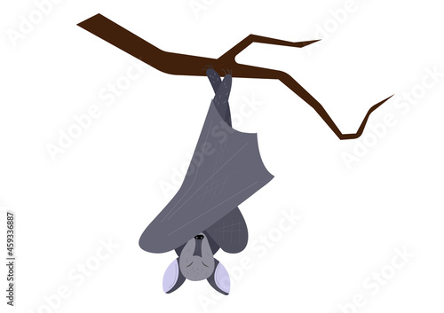 Cute vector bat on a white background, element for halloween decorations, childrens illustration