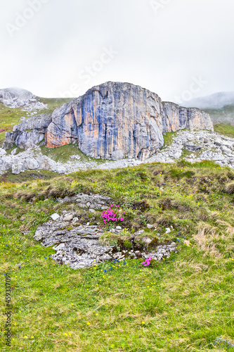 Macetul Turcesc in Bucegi mountains in Romania photo