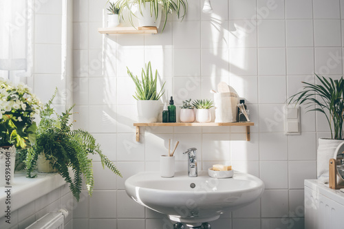 Modern white bathroom with a washbasin, big window, and many green plants. Shadows on the wall. Home comfort zone. Wellness