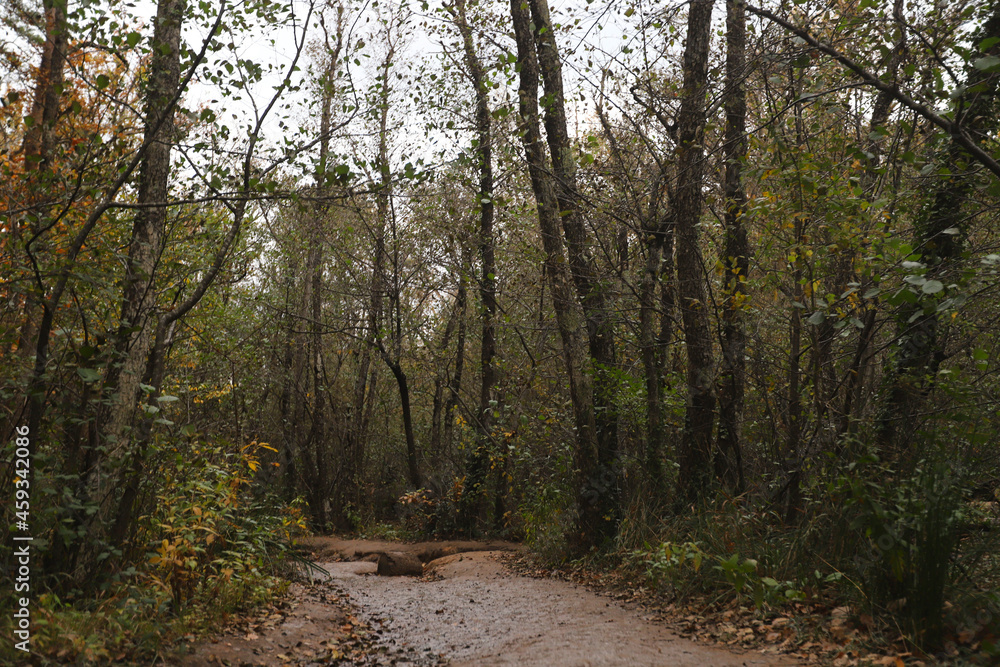 Fototapeta premium luberon_037