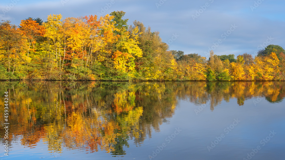 Baum mit Laub bunt und Spiegelung am Wasser im Herbst Baum mit Laub bunt und Spiegelung am Wasser im Herbst