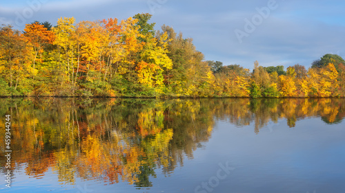 Baum mit Laub bunt und Spiegelung am Wasser im Herbst