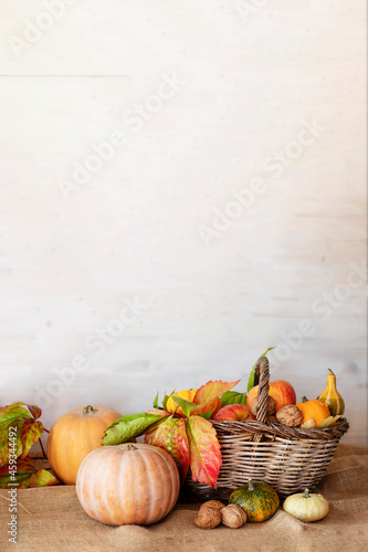 Pumpkins and basket of autumn fruits on wooden table against white wooden background