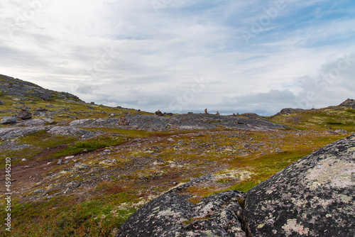beautiful landscape of the North Sea coast with stones covered with colorful moss.Teriberka, Barents Sea, Murmansk region, Kola Peninsula
