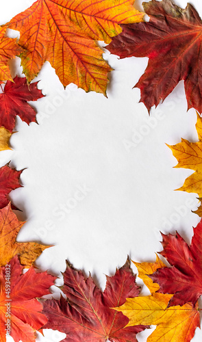 Autumnal vertical flatlay composition with copy space for text. Autumn frame background with maple leaves  top view.