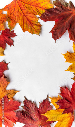 Autumnal vertical flatlay composition with copy space for text. Autumn frame background with maple leaves, top view.