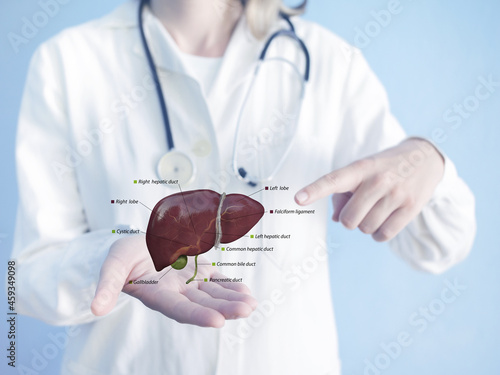 Toxins, liver. Process of Detoxification and elimination. Enter, exit, and store of toxins in humans body. A toxin is a poisonous substance that capable of inducing antibody formation 3d render ,