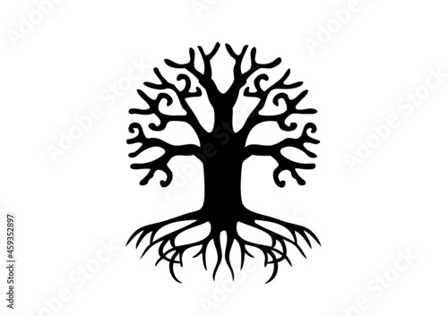 arbre de vie et racine