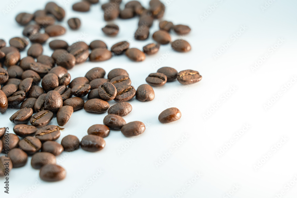 コーヒー豆 コーヒー豆