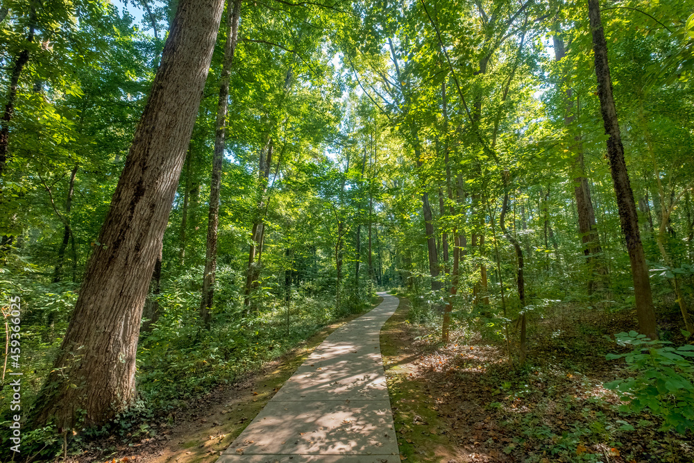 Evergreen Nature Preserve in Charlotte, North Carolina
Evergreen Nature Preserve in Charlotte, North Carolina