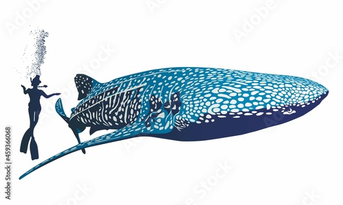 tiburon ballena nado