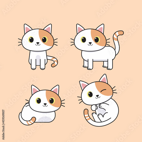Animal-Cat-Set