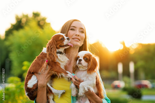 Foto Caring breeder walks at sunset with two purebred pets