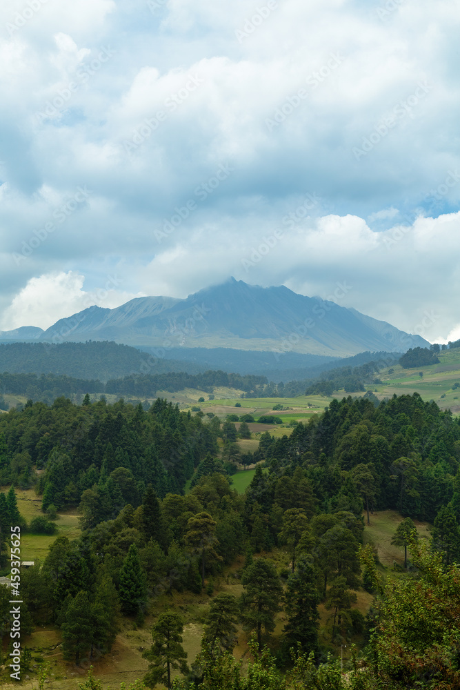 forest, mountain range of volcano nevado de Toluca forest, mountain range of volcano nevado de Toluca