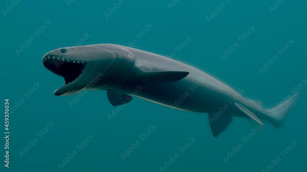 Obraz premium Frilled Shark 3D Rendered