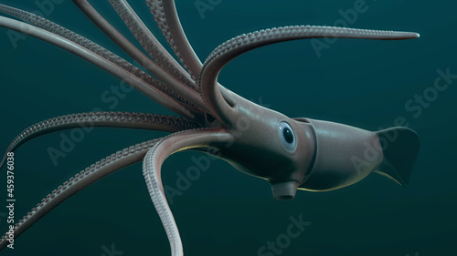 Giant Squid 3D Rendered photo