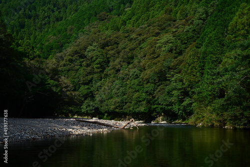 山中を流れる川