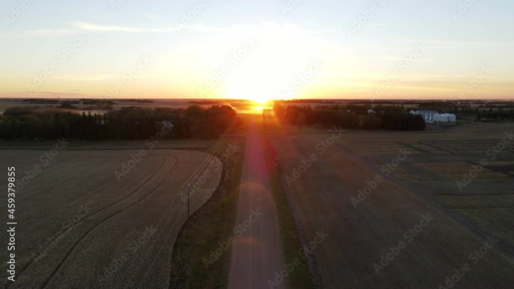 4k aerial shot rising above dirt road between golden wheat and barley fields during sunset in Alberta prairie farmland. Combine harvester doing its dusty job in the distance. 4k aerial shot rising above dirt road between golden wheat and barley fields during sunset in Alberta prairie farmland. Combine harvester doing its dusty job in the distance.