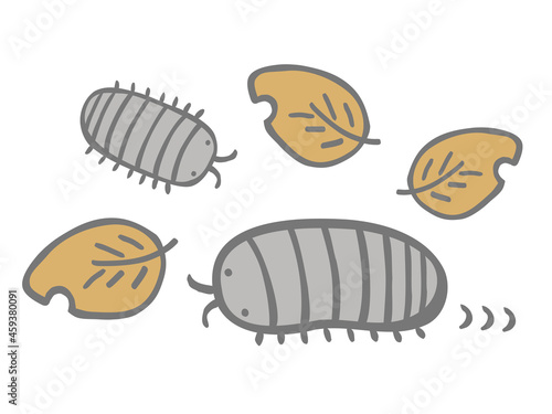 かわいいダンゴムシと枯れ葉のセット／手書きイラスト