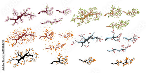 Branch in four different seasons. Set of four in different seasons, vector illustration