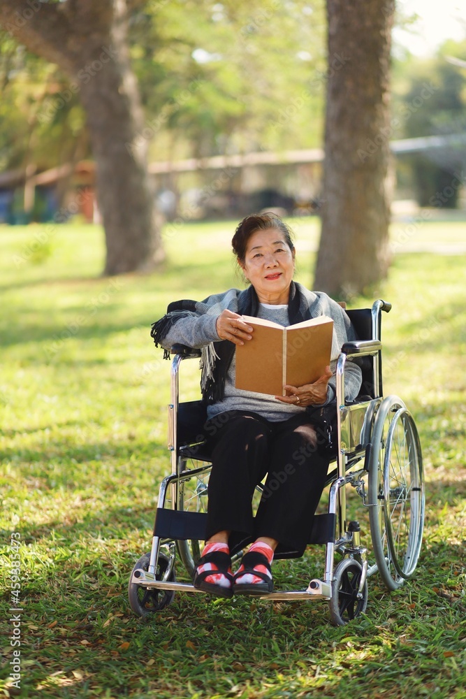 person sitting on a wheelchair in park person sitting on a wheelchair in park