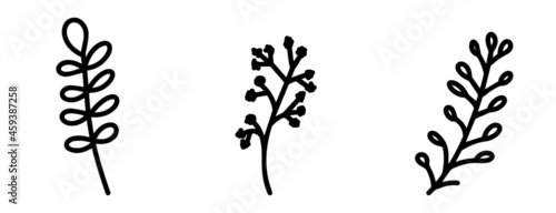 A collection of botanical elements for the design of postcards, invitations, creating logos or banners. Black and white vector flowers, berries, twigs and leaves for design. Simple, flat doodle style.